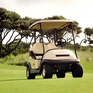 LFP Battery Packs for Golf Carts